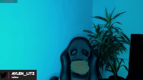 litz_81 online show from 04.06.26