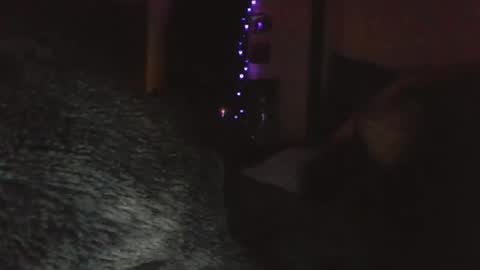 Liv Mirage online show from 04.14.26