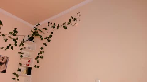 Lixie online show from 01.20.25