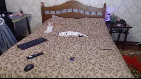 Sevy online show from 12.30.24