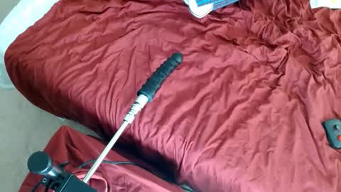 Bully online show from 12.02.25