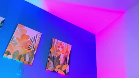 Logan online show from 04.25.26