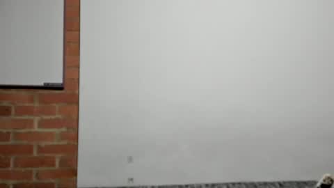 Logan online show from 04.09.26