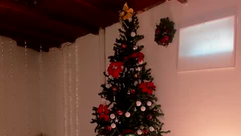 mara online show from 12.06.24