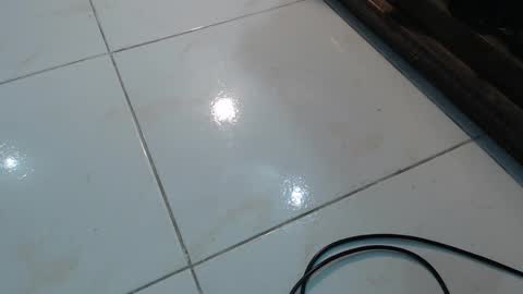 lola_foox online show from 11.12.25