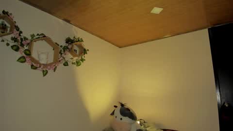 Lola online show from 01.07.26