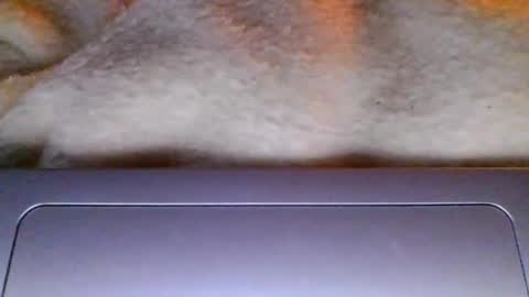 lolalovergirl333 online show from 04.17.26