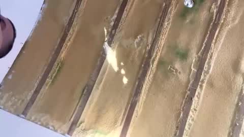 londonsbigbenxxx online show from 09.30.25