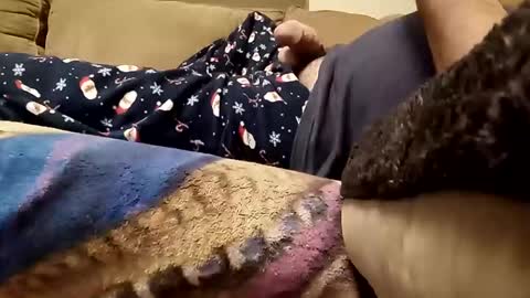 looking4bush online show from 12.23.25