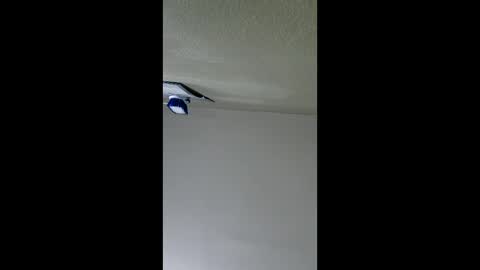 2791 3D online show from 01.08.26