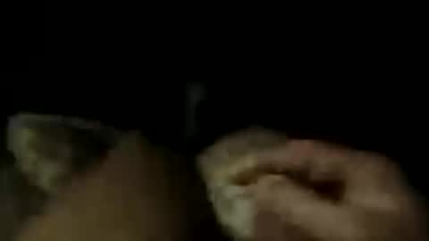 LostinDremes online show from 07.16.26