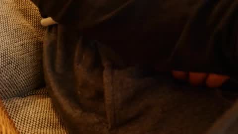 lostinspaxe online show from 11.28.25