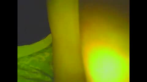 PleasureX online show from 03.06.25