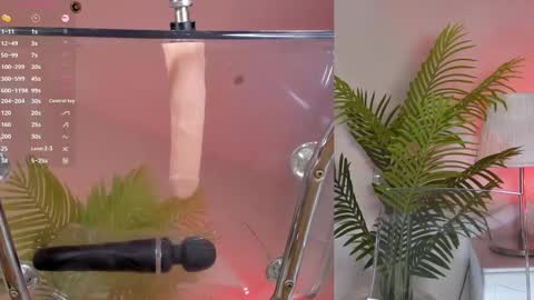 Shynie online show from 03.02.25