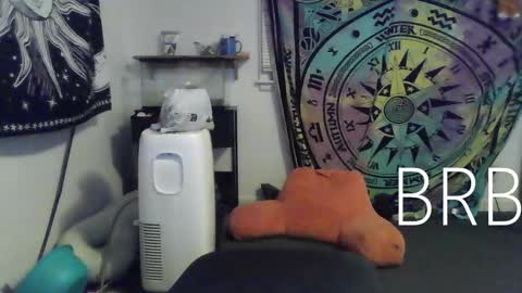 Bigtitsgirl113 online show from 01.18.25