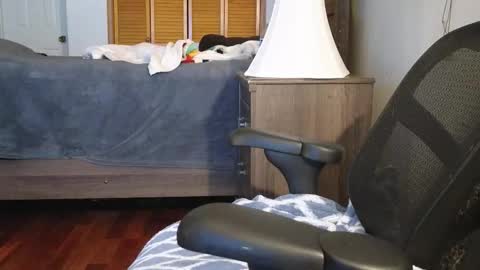 Snapshot of lovelace390 chatting on 11.03.25 Amber online show from 11.03.25