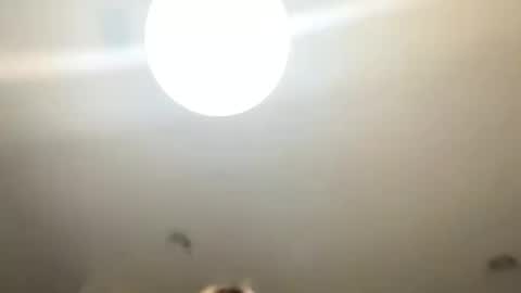 Love online show from 01.24.25