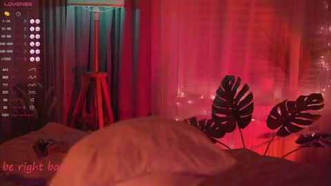 Nelly online show from 02.25.25