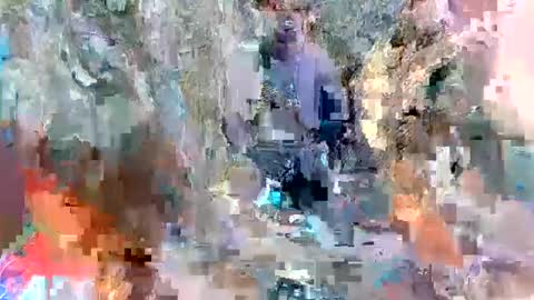 alexa alice jane daisy online show from 03.08.25