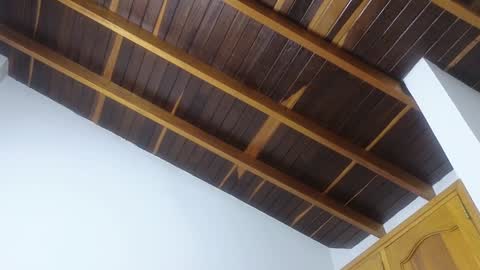 Trix online show from 01.20.25