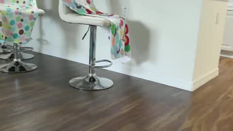 Snapshot of lovingcouple1969 chatting on 12.14.25 lovingcouple1969 online show from 12.14.25