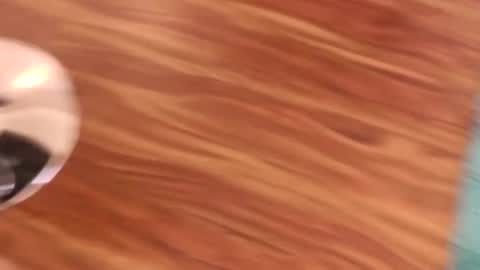 Snapshot of lovingcouple1969 chatting on 02.07.26 lovingcouple1969 online show from 02.07.26