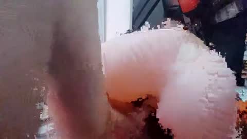 2096512345 online show from 02.13.25