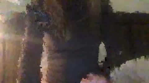 lozivelle online show from 11.12.25