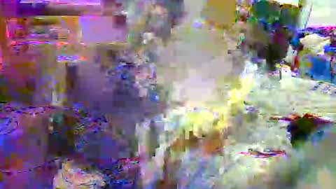 lu25humiliation online show from 10.21.25