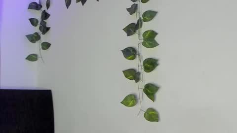 Jenn online show from 02.04.26