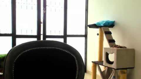 Snapshot of luara__01__lecat_1 chatting on 11.24.25 luara__01__lecat_1 online show from 11.24.25