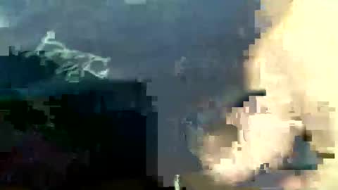 lucienal online show from 11.24.25