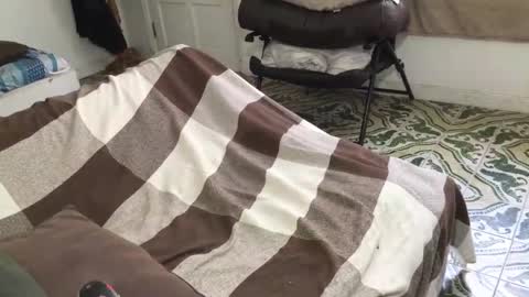 lucifer_curious online show from 03.28.26