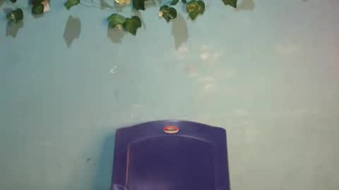 Gloria online show from 11.17.25