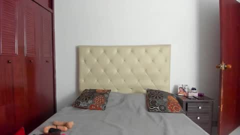 Snapshot of luissa_s1 chatting on 02.20.26 Luissa online show from 02.20.26