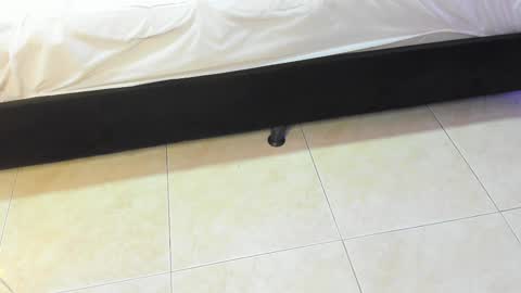 Snapshot of lulu_kawai chatting on 02.10.26 lulu online show from 02.10.26