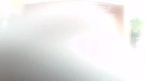 lulu_wild online show from 02.14.26