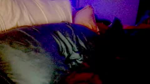 Luna Daddys Girl online show from 11.25.25