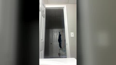 lunamoth00 online show from 12.15.25