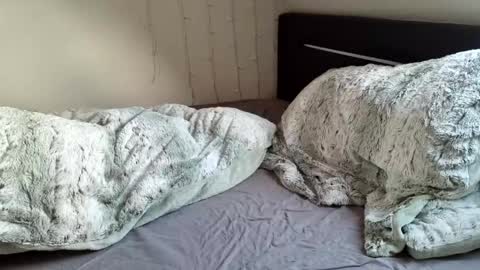 Luna  powered by bitch dust online show from 12.20.24