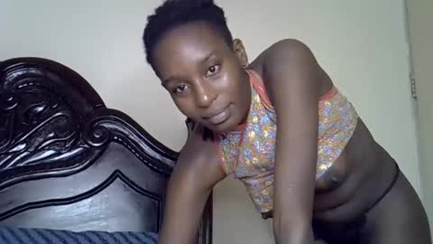 lutino_lovebirds online show from 03.11.26