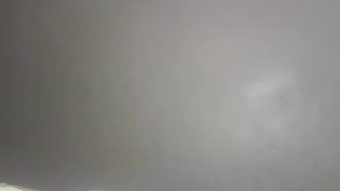 Bee Bee online show from 02.09.26