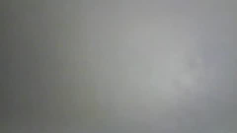 Bee Bee online show from 02.10.26