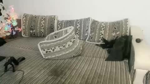 LuxMelys online show from 12.25.24