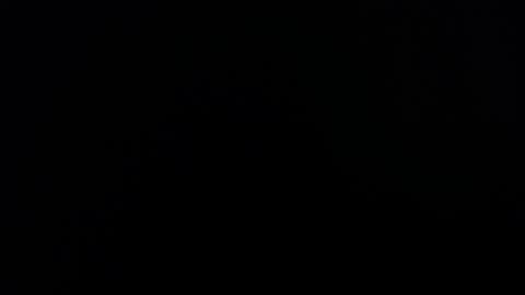 Lesly And Arnold online show from 11.04.25