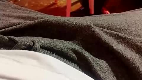 Lvac11 online show from 12.21.24