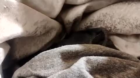 Lvac11 online show from 01.22.25