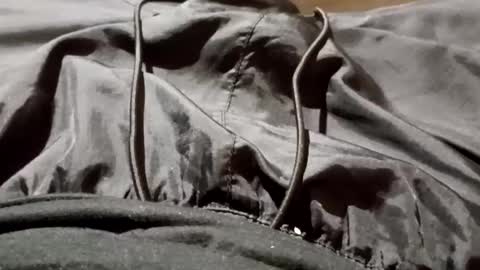 Lvac11 online show from 09.26.25