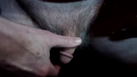 lwg1951 online show from 04.08.26