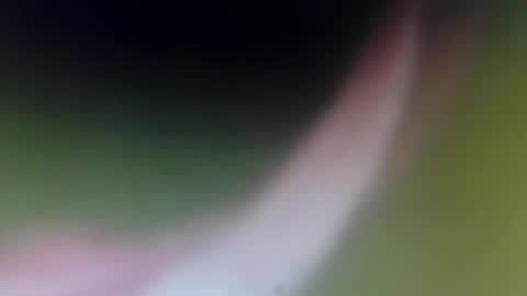 lydiasarch online show from 04.10.26